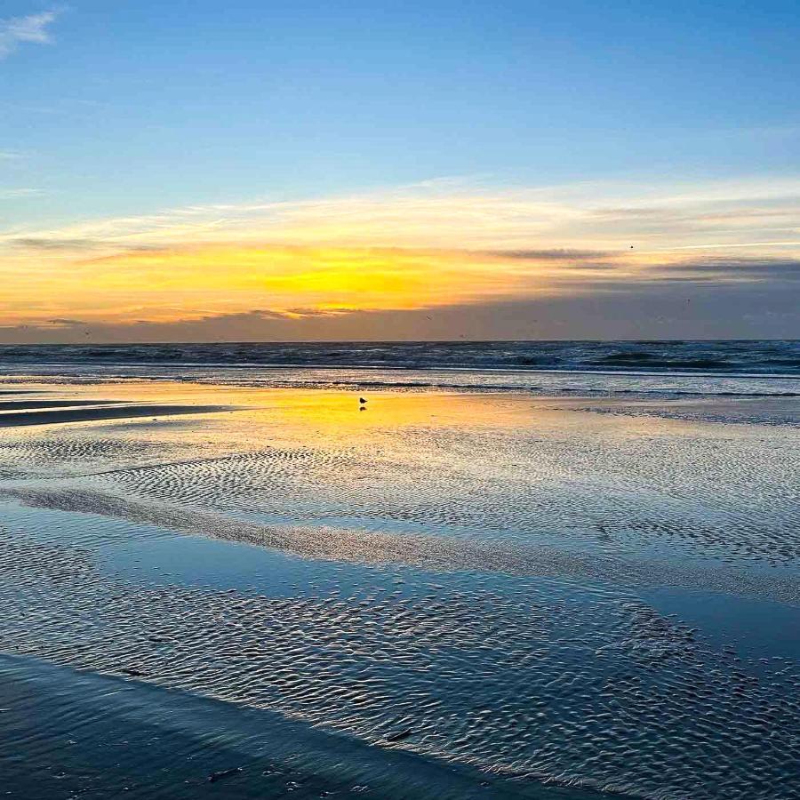 Le Pouget , Studio, Rez De Chaussee, Front De Mer Wifi Le Touquet Exteriör bild